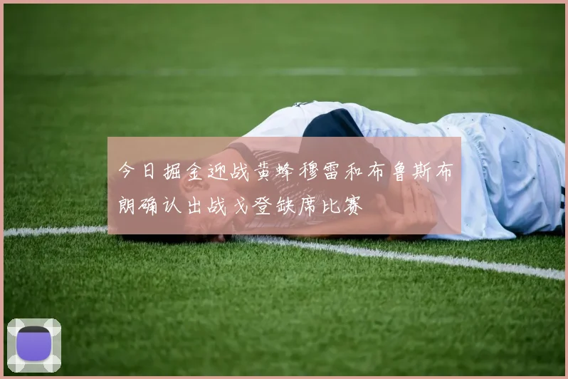 今日掘金迎战黄蜂穆雷和布鲁斯布朗确认出战戈登缺席比赛