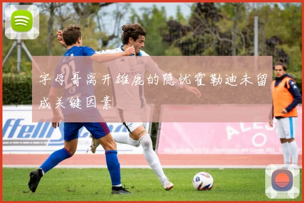 字母哥离开雄鹿的隐忧霍勒迪未留成关键因素