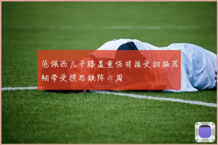 范佩西儿子膝盖重伤将接受扫描若韧带受损恐缺阵六周