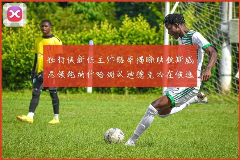 独行侠新任主帅赔率揭晓助教斯威尼领跑纳什哈姆汉迪德克均在候选之中