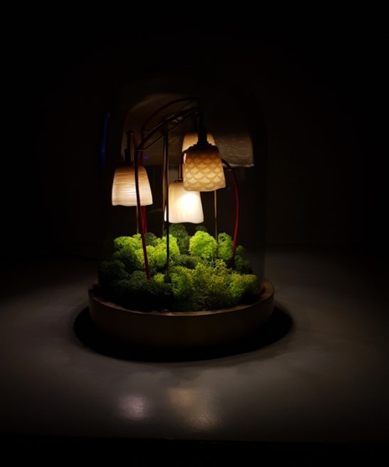 Mise en situation Luminaire Alphonse le Botaniste version ébène et socle en laiton avec son lichen stabilisé coloré allumé de Luminophilie par Thierry Toutin