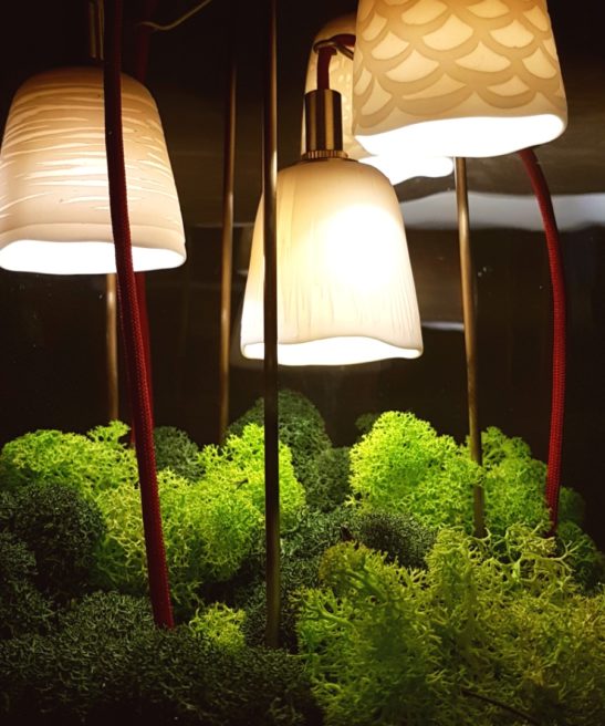 Mise en situation Luminaire Alphonse le Botaniste version ébène et socle en laiton avec son lichen stabilisé coloré allumé de Luminophilie par Thierry Toutin