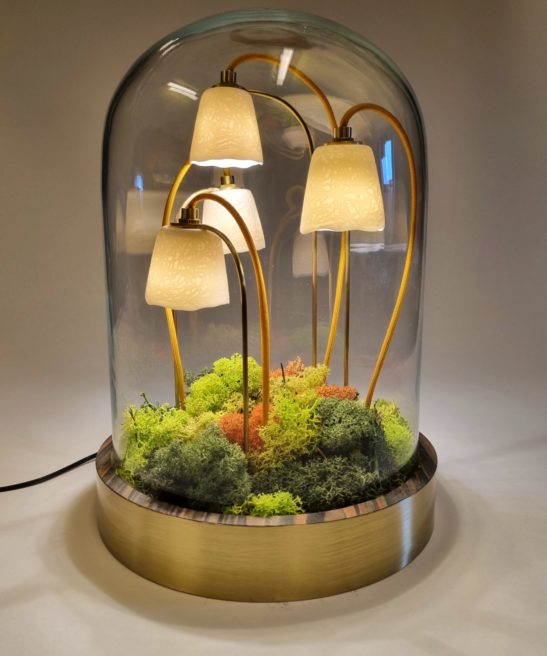 Alphonse le Botaniste - ébène Macassar - lichen - allumé - by Thierry Toutin pour Luminophilie