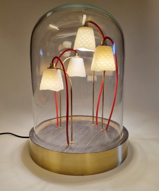 Alphonse le botaniste - laiton et ébène ammara 2 - by Thierry Toutin pour Luminophilie