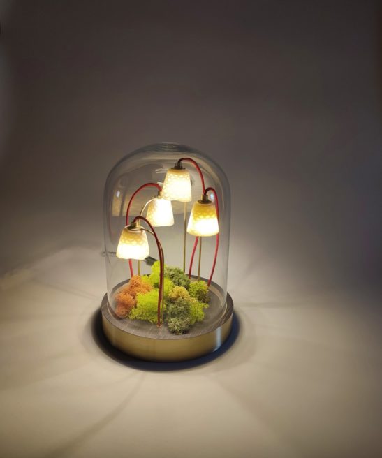 Luminaire Alphonse le Botaniste version ébène et socle en laiton avec son lichen stabilisé coloré allumé sur fond blanc de Luminophilie par Thierry Toutin