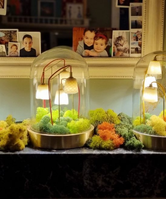 Luminaire Alphonse le Botaniste - Situation 4 - by Thierry Toutin pour Luminophilie