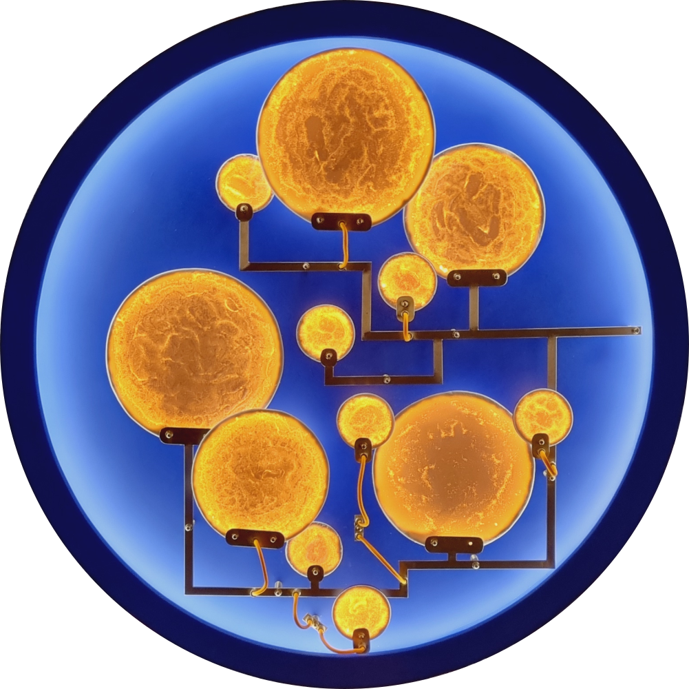 Mater Nostra luminous artwork by Luminophile, featuring interconnected glowing spheres against a deep blue background.