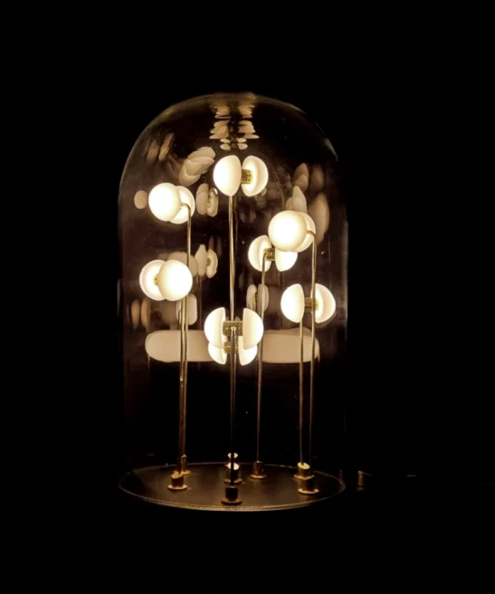 Germes de Lux luminous artwork under a glass dome, glowing warmly in darkness
