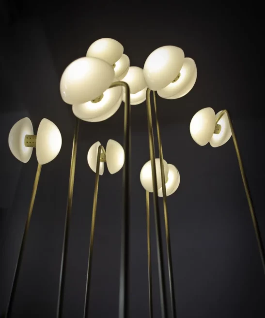 Upward view of Germes de Lux luminous sculpture, with seed-like lights on tall brass stems