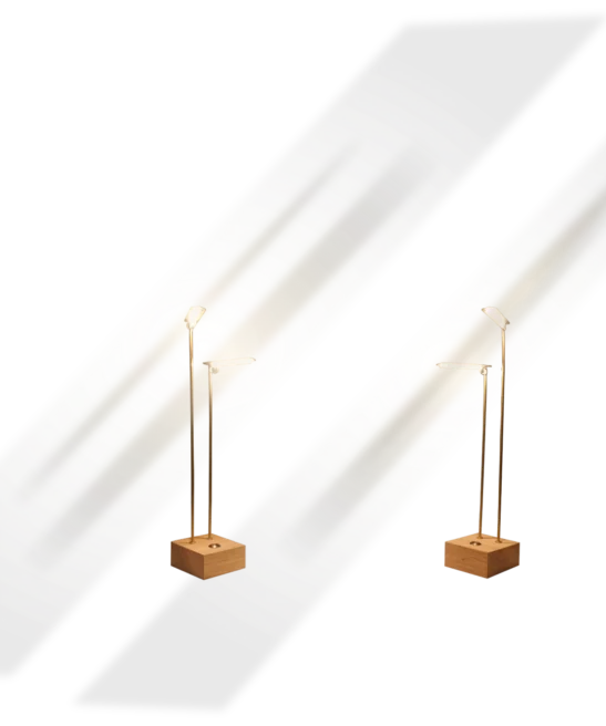 Gracilis – A delicate and miniature light sculpture