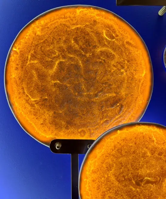 Close-up of glowing incandescent discs in Mater Nostra.