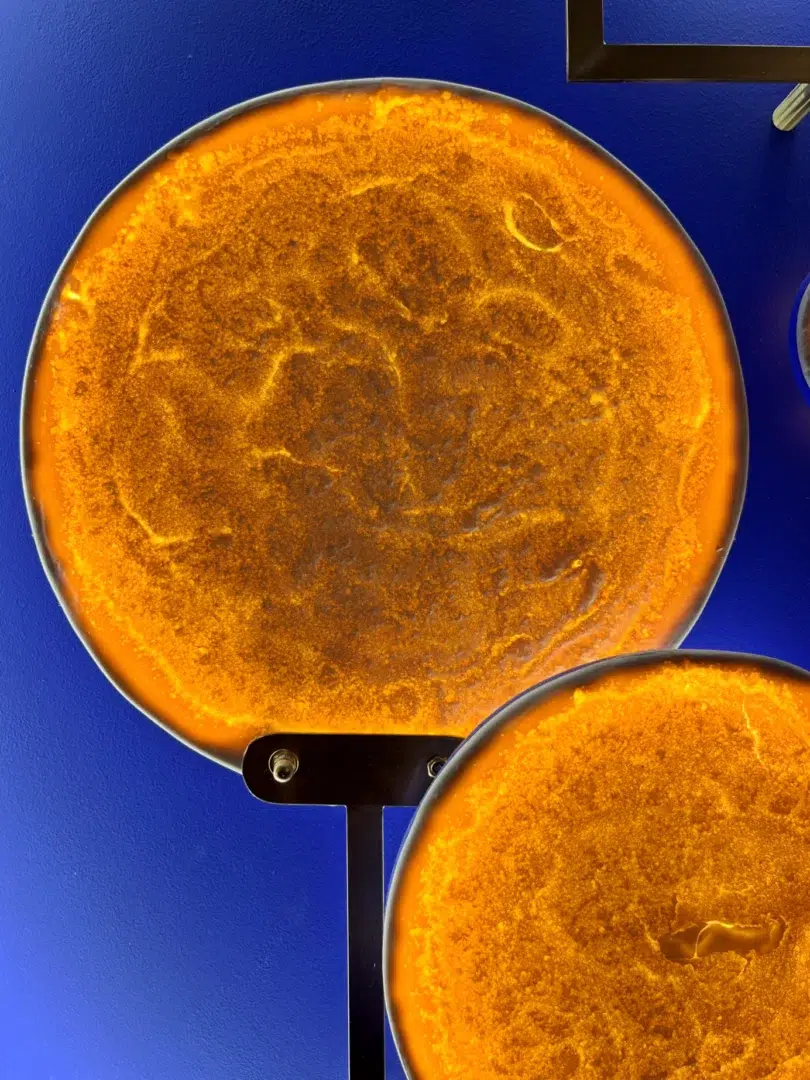 Close-up of glowing incandescent discs in Mater Nostra.