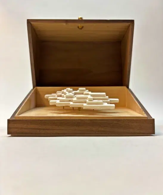 Front view of Vapor Minimus sculpture inside open walnut box.