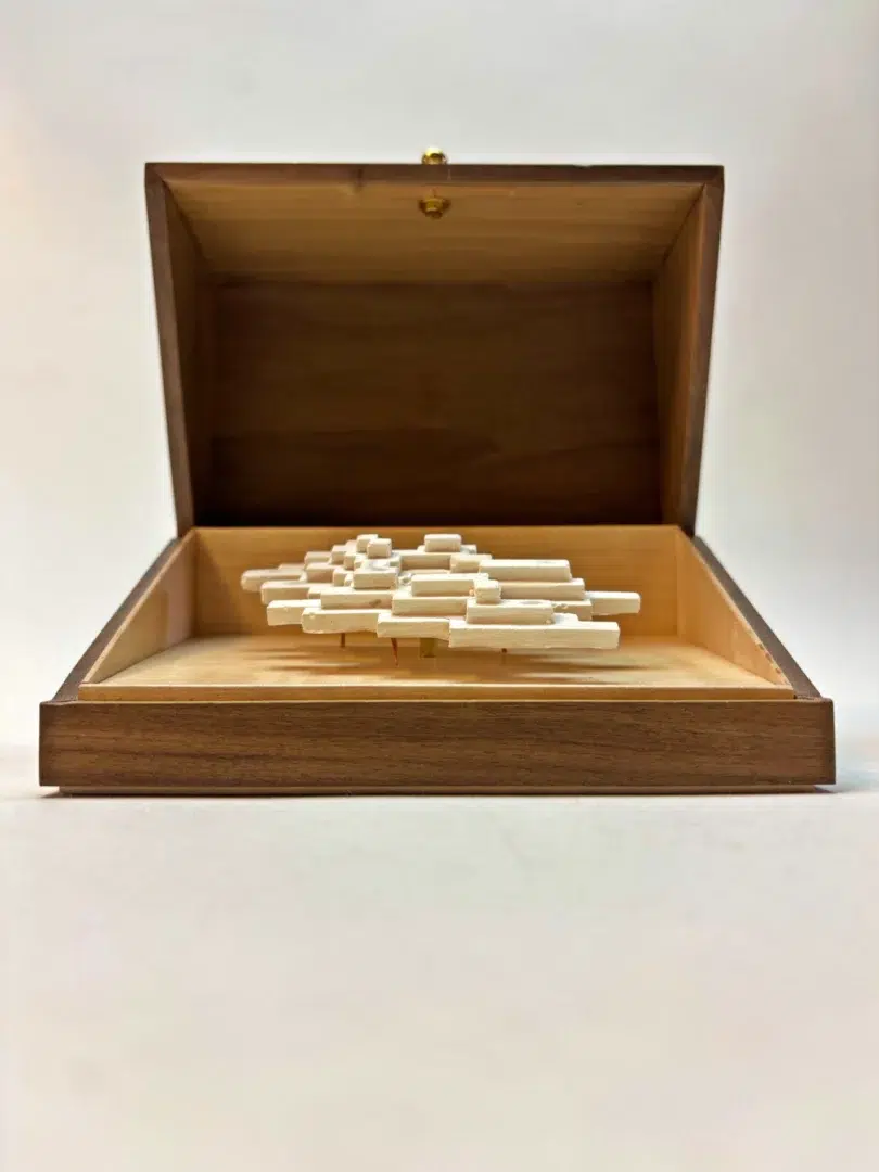 Front view of Vapor Minimus sculpture inside open walnut box.