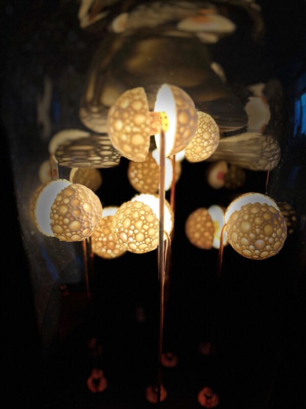 Reflected view of the Germes de Lux Atlantis sculpture, showing porcelain spheres illuminated within the glass dome, creating an ethereal play of light and reflections.